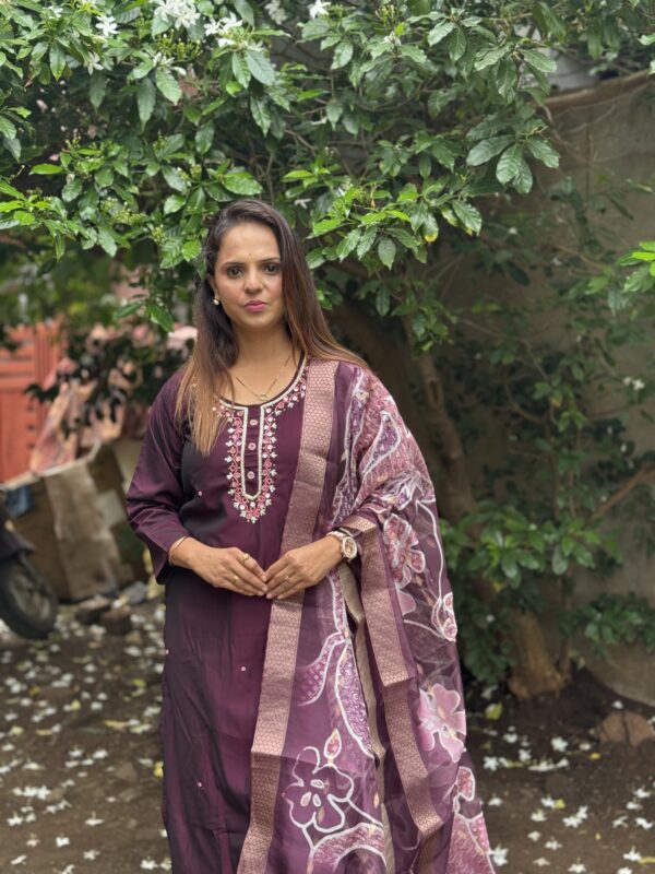 Kurta Set with beautiful mirror Work - Image 3